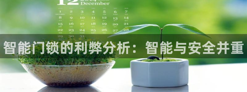 开丰娱乐注册登录不了：智能门锁的利弊分析：智能与安全并重