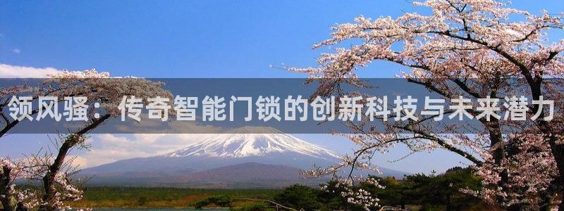 开丰娱乐登入地址查询：领风骚：传奇智能门锁的创新科技与未来潜