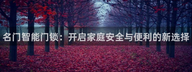 开丰娱乐平台提现失败：名门智能门锁：开启家庭安全与便利的新选