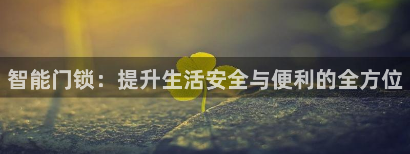 开丰娱乐平台：智能门锁：提升生活安全与便利的全方位