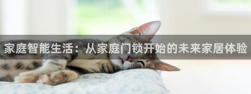 开丰娱乐注册系究耍333OO：家庭智能生活：从家庭门锁开始的