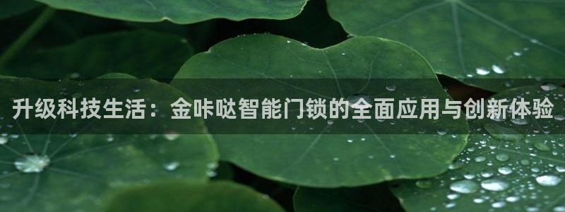 开丰娱乐平台注册地址：升级科技生活：金咔哒智能门锁的全面应用