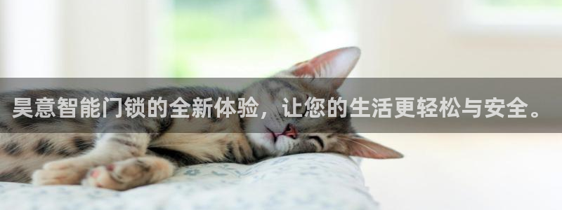 开丰娱乐天富娱乐：昊意智能门锁的全新体验，让您的生活更轻松与