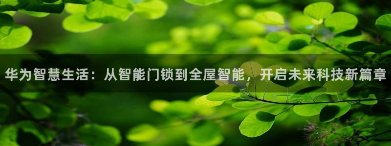 开丰娱乐：华为智慧生活：从智能门锁到全屋智能，开启未来科技新