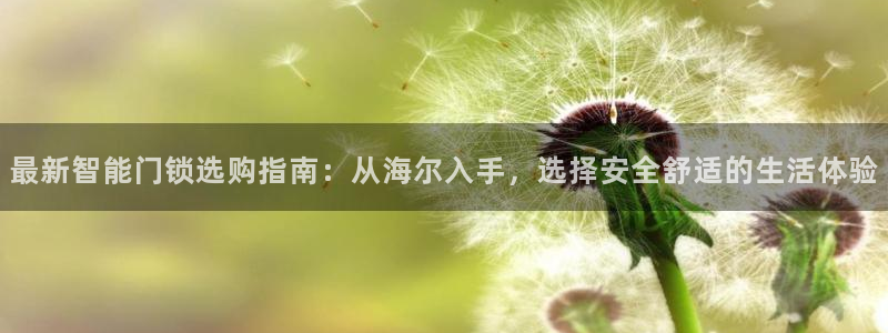 开丰娱乐山67五壹叁八：最新智能门锁选购指南：从海尔入手，选