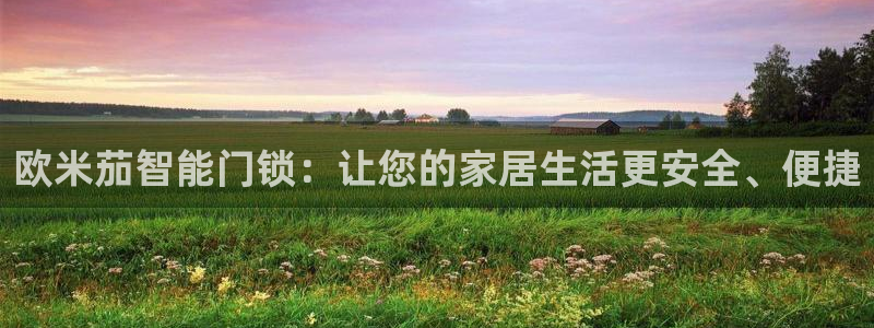 开丰娱乐平台注册时间：欧米茄智能门锁：让您的家居生活更安全、