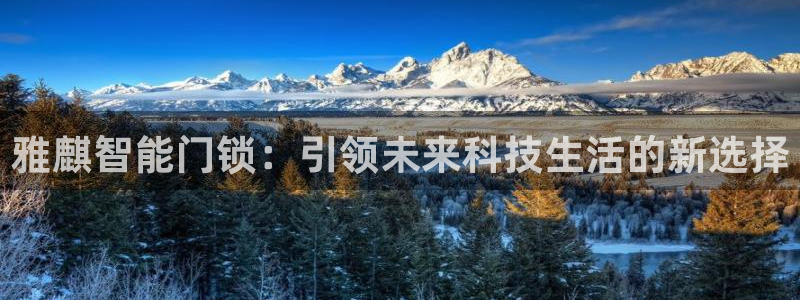如何注册开丰娱乐账号：雅麒智能门锁：引领未来科技生活的新选择