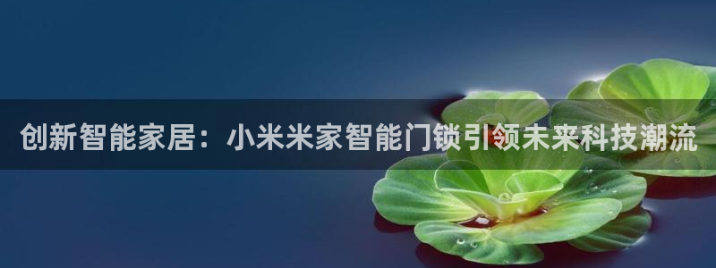 开丰娱乐官网平台网址：创新智能家居：小米米家智能门锁引领未来