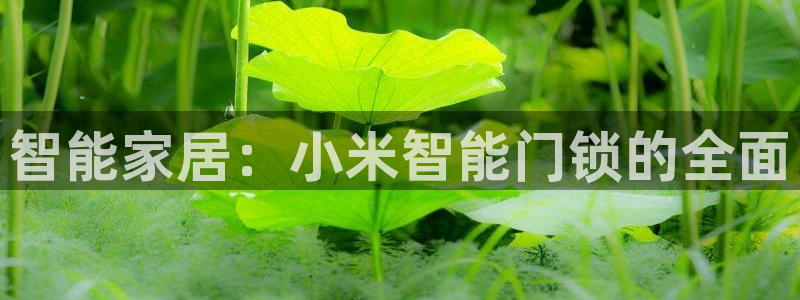 开丰娱乐体育平台：智能家居：小米智能门锁的全面