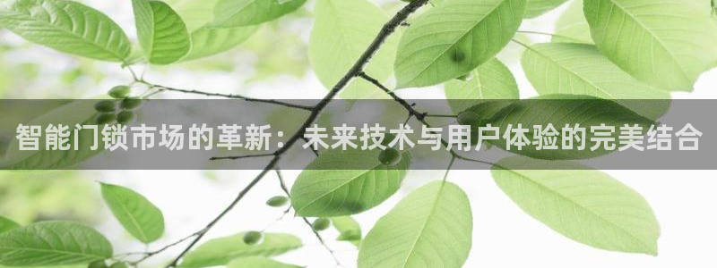 开丰娱乐千67五壹叁八：智能门锁市场的革新：未来技术与用户体