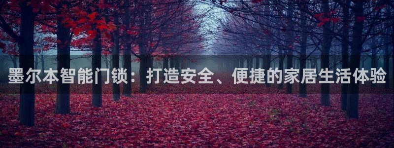 开丰娱乐登录：墨尔本智能门锁：打造安全、便捷的家居生活体验