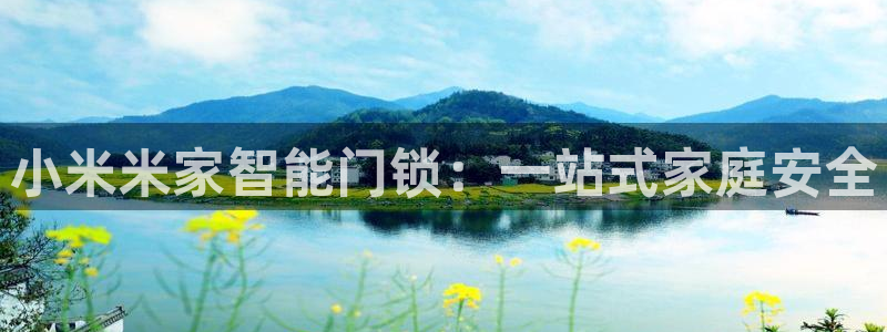 开丰娱乐体育平台：小米米家智能门锁：一站式家庭安全