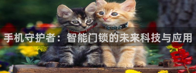 开丰娱乐2登录：手机守护者：智能门锁的未来科技与应用