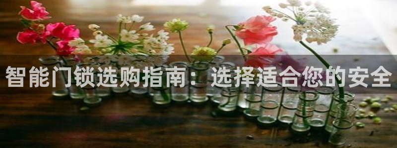 开丰娱乐网官网注册入口：智能门锁选购指南：选择适合您的安全
