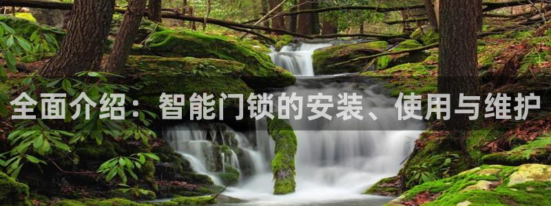 开丰娱乐网站官网下载：全面介绍：智能门锁的安装、使用与维护