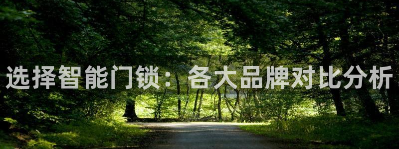 开丰娱乐日：选择智能门锁：各大品牌对比分析