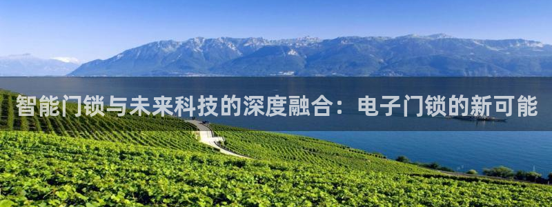 开丰娱乐怎么开转点：智能门锁与未来科技的深度融合：电子门锁的