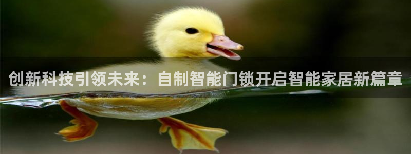 开丰娱乐天富娱乐：创新科技引领未来：自制智能门锁开启智能家居