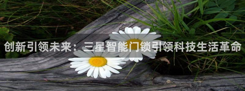 开丰娱乐平台地址在哪里：创新引领未来：三星智能门锁引领科技生