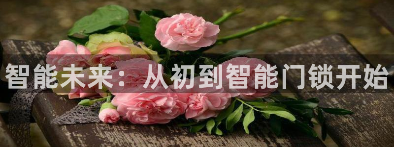 开丰娱乐下：智能未来：从初到智能门锁开始