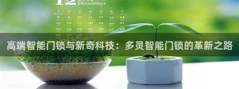 开丰娱乐体育平台：高端智能门锁与新奇科技：多灵智能门锁的革新