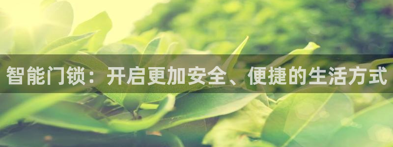 开丰娱乐上：智能门锁：开启更加安全、便捷的生活方式