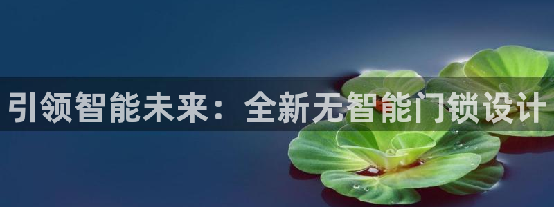 开丰娱乐体育平台：引领智能未来：全新无智能门锁设计