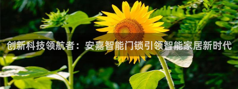 开丰娱乐天7O667：创新科技领航者：安嘉智能门锁引领智能家