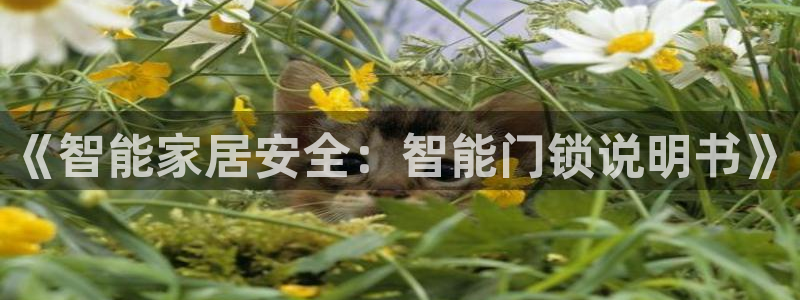 开丰娱乐平台：《智能家居安全：智能门锁说明书》