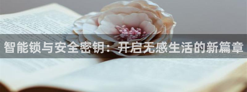 开丰娱乐体育平台：智能锁与安全密钥：开启无感生活的新篇章