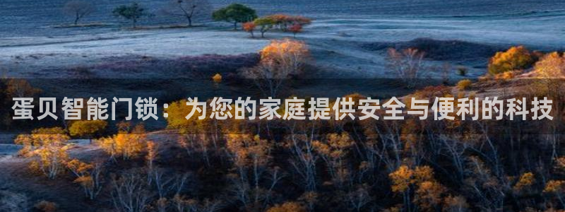 开丰娱乐注册自判官333OO：蛋贝智能门锁：为您的家庭提供安