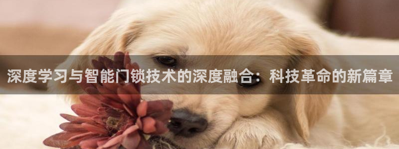 开丰娱乐网站官网入口：深度学习与智能门锁技术的深度融合：科技