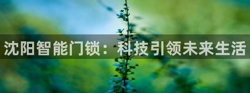 开丰娱乐咋7O777：沈阳智能门锁：科技引领未来生活