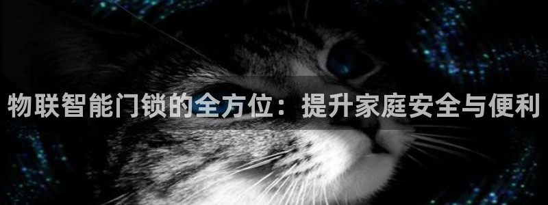 开丰娱乐手机app：物联智能门锁的全方位：提升家庭安全与便利