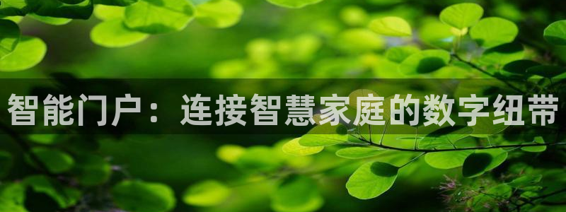 开丰娱乐线路：智能门户：连接智慧家庭的数字纽带
