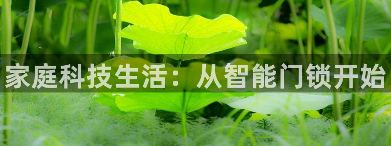 开丰娱乐怎么样：家庭科技生活：从智能门锁开始