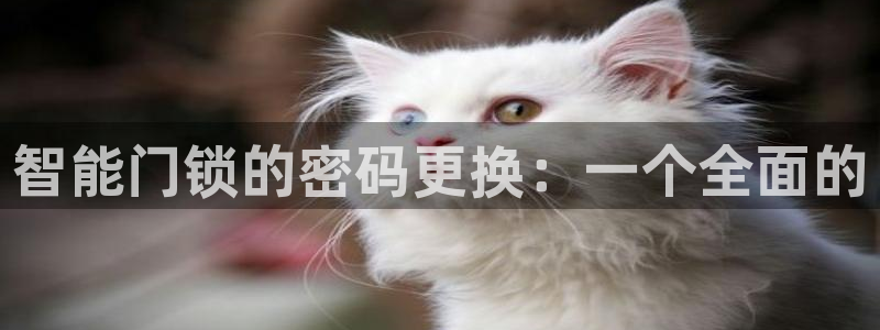 开丰娱乐手机app：智能门锁的密码更换：一个全面的