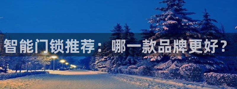 开丰娱乐网站：智能门锁推荐：哪一款品牌更好？