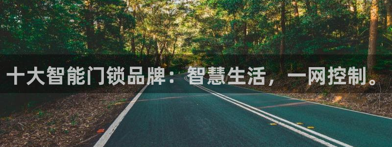 开丰娱乐下7O667：十大智能门锁品牌：智慧生活，一网控制。