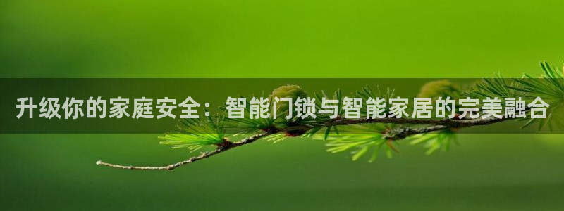 开丰娱乐主管：升级你的家庭安全：智能门锁与智能家居的完美融合