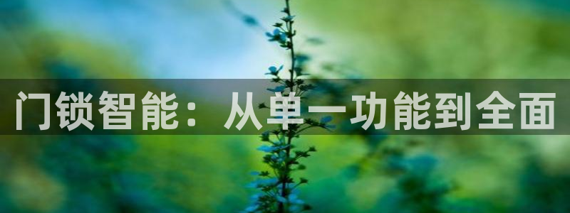 开丰娱乐左：门锁智能：从单一功能到全面
