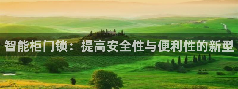 开丰娱乐天富娱乐：智能柜门锁：提高安全性与便利性的新型