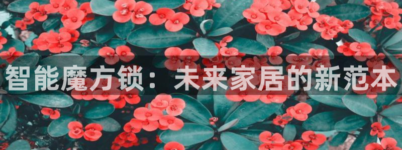 开丰娱乐网站官网首页：智能魔方锁：未来家居的新范本