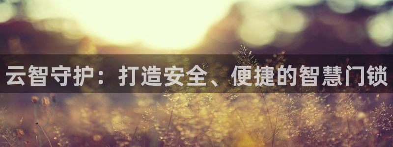 开丰娱乐最新活动：云智守护：打造安全、便捷的智慧门锁