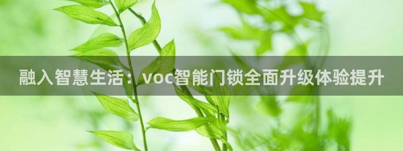 开丰娱乐登录：融入智慧生活：voc智能门锁全面升级体验提升