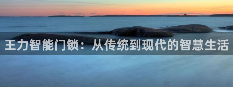 下载开丰娱乐：王力智能门锁：从传统到现代的智慧生活