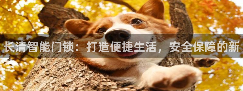 开丰娱乐日：长清智能门锁：打造便捷生活，安全保障的新