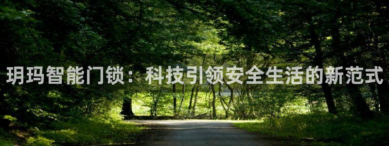 开丰娱乐左：玥玛智能门锁：科技引领安全生活的新范式