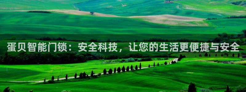 开丰娱乐怎么开转点：蛋贝智能门锁：安全科技，让您的生活更便捷