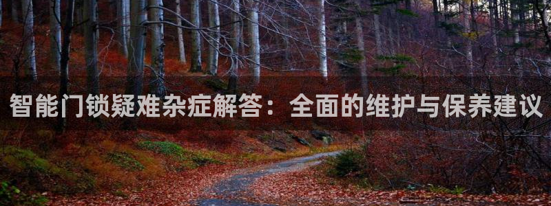 开丰娱乐登录：智能门锁疑难杂症解答：全面的维护与保养建议